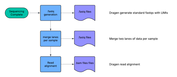 Dragen pipeline includes three modules demultiplex, mergelane, and alignment